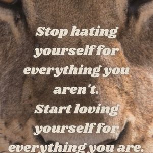 Meet your Posher, Ada